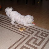 CHICKAAAAAAAAAAAAAAAAA SPEELT, EN HEEFT HET NAAR HAAR ZIN