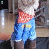ben ik niet cool?