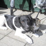 Boyke en Sammie.gaan priema samen