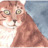 Bengaal in aquarel