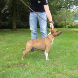 Foto van Paul Reinhard ( Situation's Sbt )