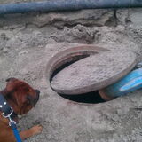 Foto van diane en tank