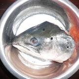 Zalmkop