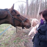Foto van Cinderella - Dusty & Ziva