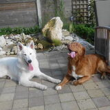 Foto van Leen & Geike