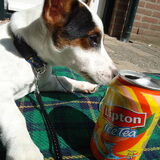 Lekker drinken
