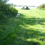 13-08-2011 CHICKA IN GALOP