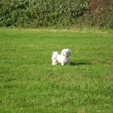 14 OKTOBER 2011 M,N LIEF, CHICKA