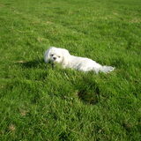 14 OKTOBER 2011 M,N LIEF NEEMT EVEN HAAR RUST