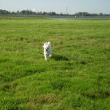 14 OKTOBER 2011 VROUWTJE IK KOMMMMMMM