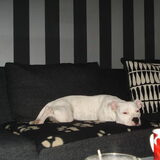 chillend..