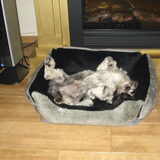 Foto van Helma en Balou