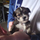 Hier is Sandy 3 weken
