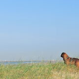 Strand en duinen IJmuiden 14/10/2011