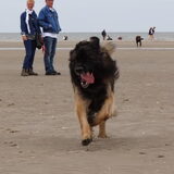 Foto van elianne