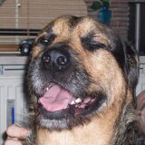 Foto van Claudia & Tank