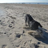 Foto van Maks met Fenna & Yuna