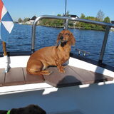 Raiza aan het zonnebaden op het water