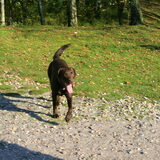 Nog even en dan gaan we weer naar huis, helaas..