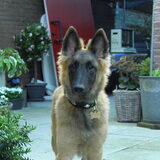 Pupperts worden groot ;)