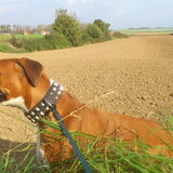 wandelen2 17/10/11