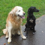 twee vriendjes