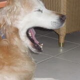 gaaaaaaaaaaaaap