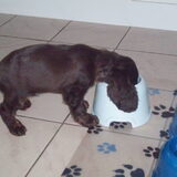 He,he eindelijk eten