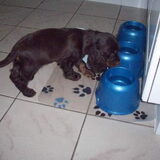 Nu effe doorspoelen!!