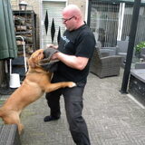 Spelen met de baas