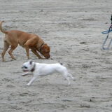 Met mijn vriendinnetje Xena op het strand