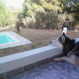 In de Algarve