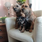 Onze 3 schatten.