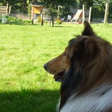 Luca