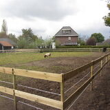 Foto van liesbeth,Turbo,Luna, Levi en Faith
