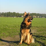 Foto van Mireillevdw