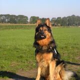 Foto van Mireillevdw