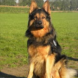 Foto van Mireillevdw