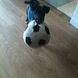 Samen voetballen:)