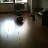 voetballen
