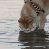 even snorkelen