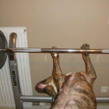 liftin' wheights