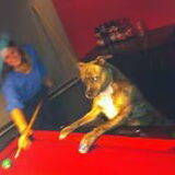 Montana & Hilde