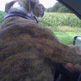 drivin' to safe the day haha
