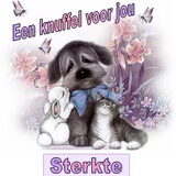 Foto van Sigrid, Sandy, Diva & Nala