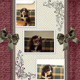 Foto van Madelon&Baloe