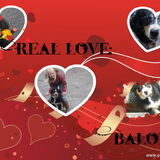 Foto van Madelon&Baloe