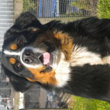 Foto van Madelon&Baloe