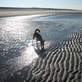 Spiegel*spiegeltje op het strand, wie is de mooiste dame van het hele…