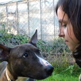 Shanty en ik